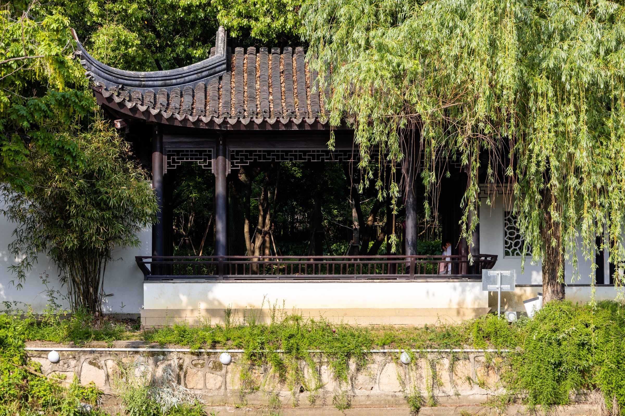 河岸边的灰瓦亭廊被垂柳遮住一部分,白墙与黑色木栏相接。